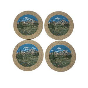 Thirstystone Brand Mountain Landscape 4 Coasters Absorbent Natural Sandstone USA